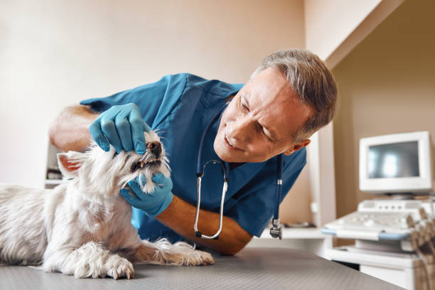 Best Broken Tooth Emergency  in Newburgh Heights, OH